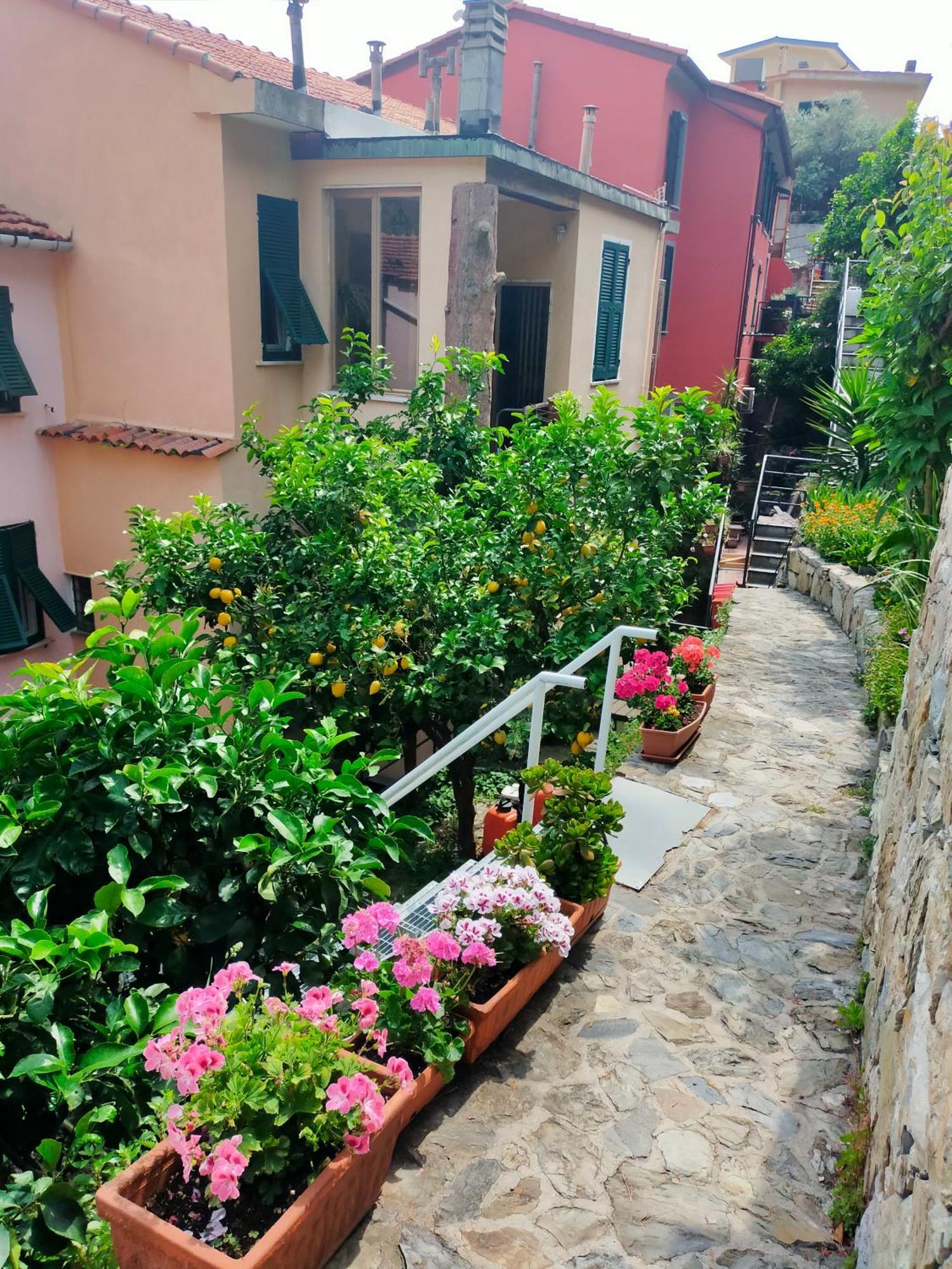 Affittacamere Fiorella Riomaggiore Exterior photo